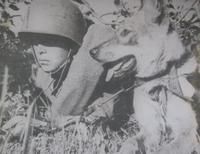 советский солдат с собакой