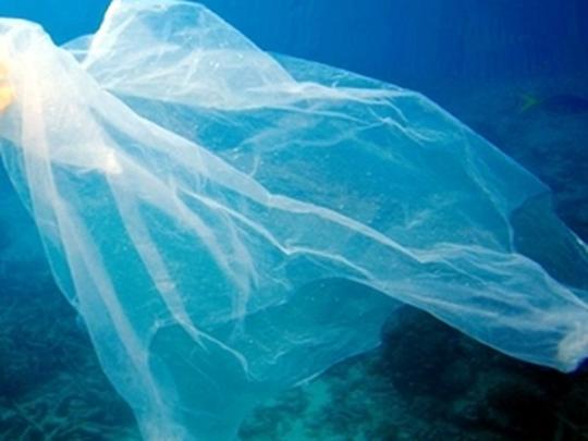 Австралия отказывается от пластика: штраф превышает 4,5 тысячи долларов