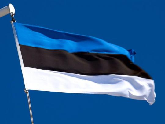 В Эстонии раскрыли сеть «агентов влияния»
