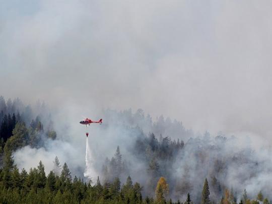 Швеция охвачена лесными пожарами из-за самого жаркого июля в истории