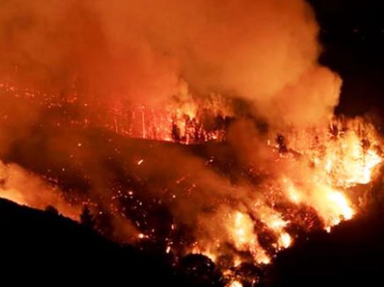 Лесные пожары в Швеции: выгорело 25 тысяч гектаров леса