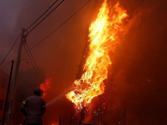 Количество жертв масштабных лесных пожаров в Греции сильно увеличилось