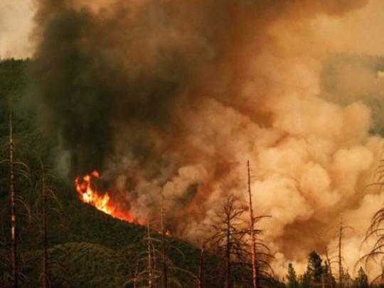 Лесные пожары в Калифорнии: количество погибших возросло до шести человек