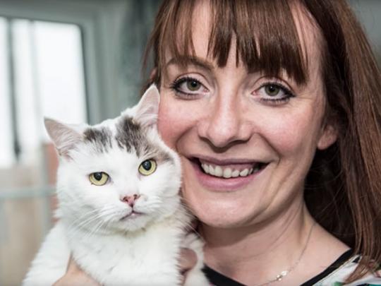 Британский кот получил посмертно награду за спасение своей хозяйки
