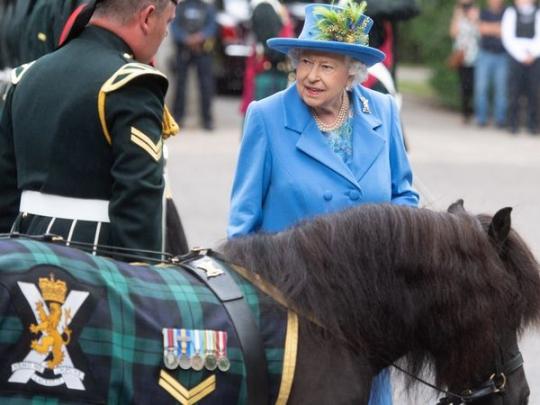 "Самый невежливый пони Шотландии" снова причинил неприятности королеве Елизавете
