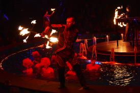 "Вода и Огонь": новая программа Национального цирка Украины