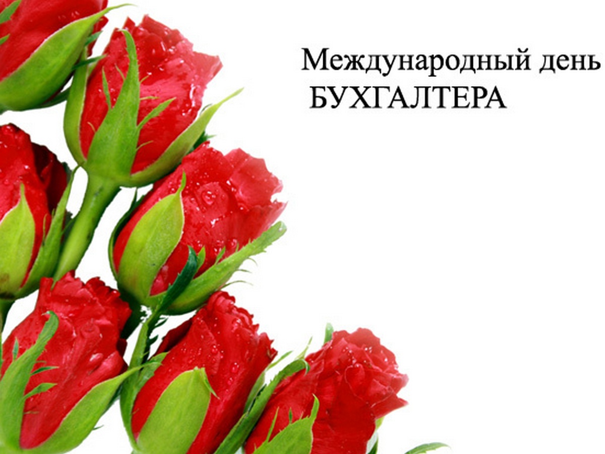 Поздравления С Международным Днем Бухгалтера 10 Ноября