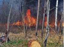 У Чорнобилі горить ліс