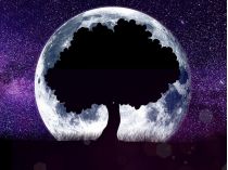 Місяць та дерево