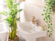 Найкращі природні засоби для видалення запаху у&nbsp;ванній кімнаті: що&nbsp;важливо знати