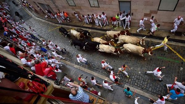 Быки в Испании подняли на рога мужчину и затоптали еще двоих