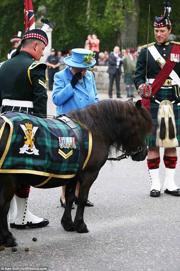 "Самый невежливый пони Шотландии" снова причинил неприятности королеве Елизавете
