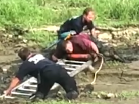 Сеть позабавило видео спасения мужчины с попугаем из болота  