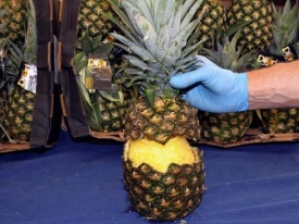 В сети показали, что обнаружили в коста-риканских ананасах 