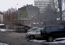  Киевлянка, на которую едва не упало дерево, стала звездой YouTube 