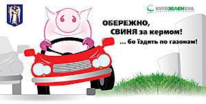 «киевзеленстрой» организовал в городе акцию&#133; «свинья за рулем»