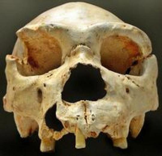 В Польше нашли стоянку человека давностью 800 тысяч лет