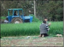 На ферме в Англии незаконно работали румынские дети
