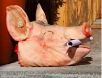 Под двери дома главы Одесской избирательной комиссии неизвестные подбросили окровавленные головы быка и свиньи