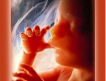 Китай занял первое место в мире по количеству абортов 