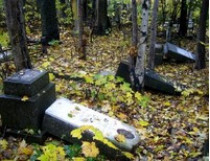В отместку обидчицам 65-летняя сельская женщина разрушила могилы их родственников