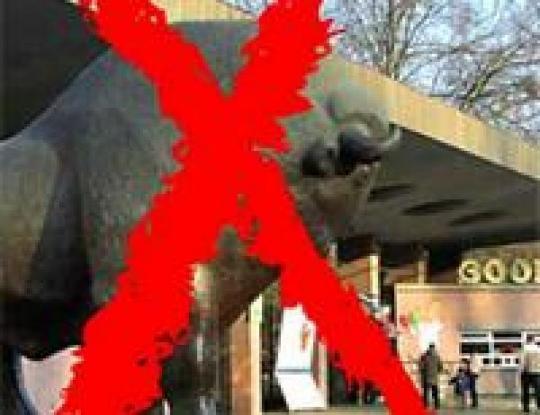 Европейские защитники животных рекомендуют закрыть «тюрьму животных» Киевский зоопарк