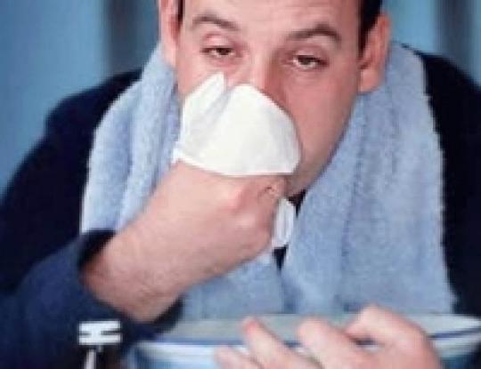 В Украине обнаружили не известный ранее мутировавший штамм свиного гриппа 