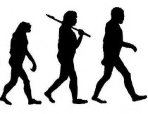 Вся правда об эволюции
