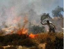 Виновником самого масштабного пожара в истории Израиля оказался 14-летний курильщик