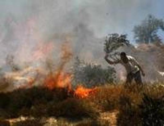 Виновником самого масштабного пожара в истории Израиля оказался 14-летний курильщик
