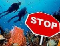 Египет заплатит туристам за акульи укусы