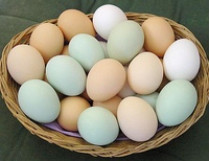 Антимонопольный комитет взялся за донецкие яйца