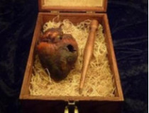 На аукционе eBay выставлено на продажу пробитое колом и мумифицированное сердце вампира