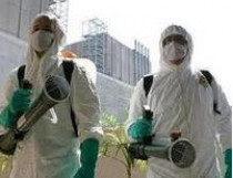 В Египет вернулась эпидемия «свиного» гриппа?