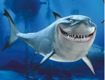 Пьяный серб, убивший египетскую акулу собственным задом, оказался&#133; выдумкой сатирического журнала 