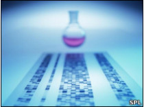 Генетики предупреждают: анализ ДНК не имеет смысла