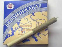 Благодаря Азарову наркотиков в Украине стало гораздо больше