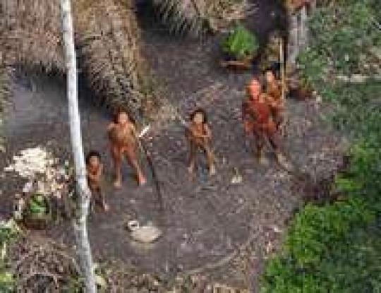 В Бразильских джунглях неподалеку от границы с Чили обнаружили неизвестное ранее племя