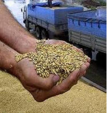 Украина ограничила экспорт зерна