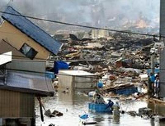 Число жертв цунами в Японии перевысило тысячу (видео)