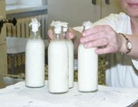 продукция молочной кухни