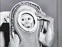 обезьяна космонавт