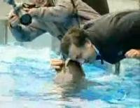 Саакашвили попытался засунуть голову в пасть дельфина (видео)