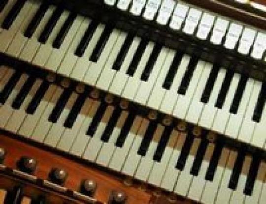 клавиши органа