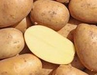 картофель