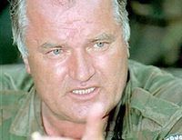 Младич