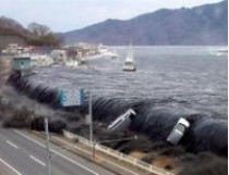 цунами в Японии 