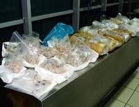На таможне в «Борисполе» у туристов изъяли более 80 кг контрабандных украшений