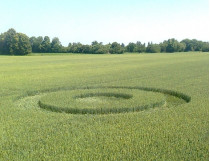 круги на поле