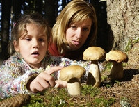 женщина с ребенком любуются найденными в лесу грибами